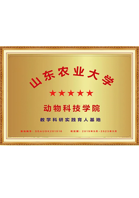 Certificate Of Honor