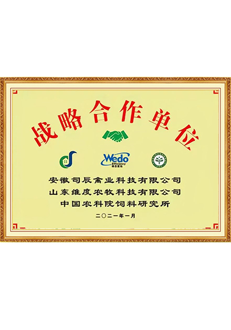 Certificate Of Honor