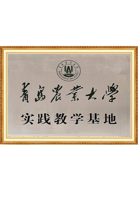 Certificate Of Honor