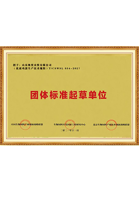 Certificate Of Honor