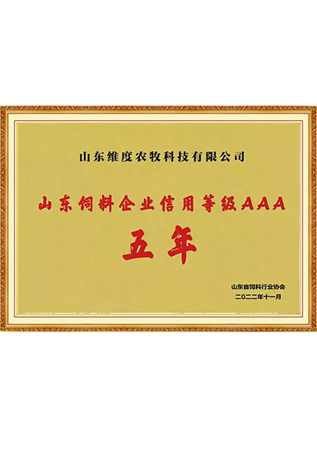 Certificate Of Honor