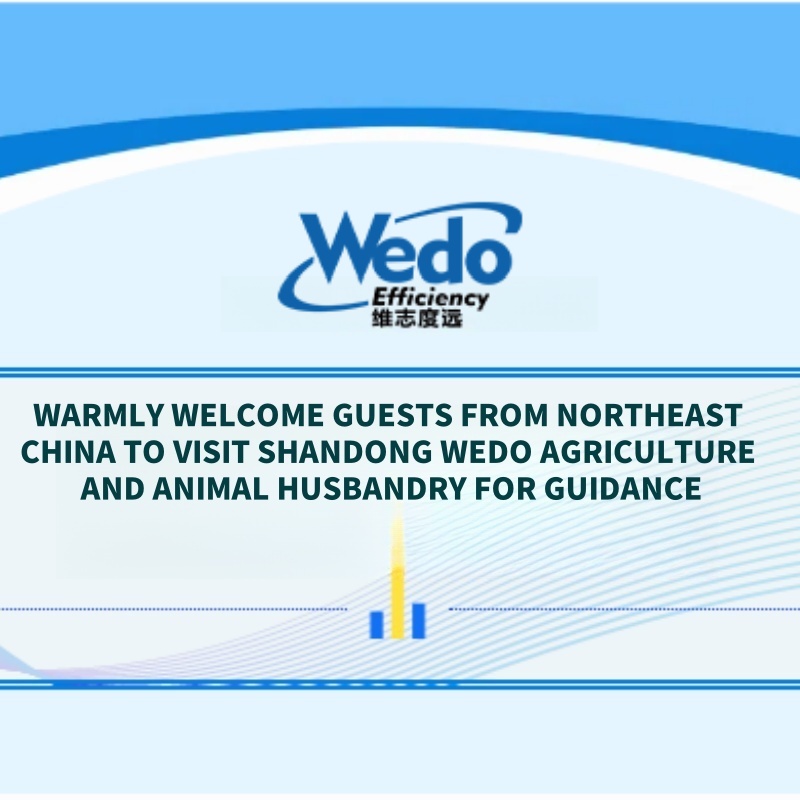 Warmly Welcome Guests From Northeast China To Visit Shandong Latitude Agriculture And Animal Husbandry For Guidance