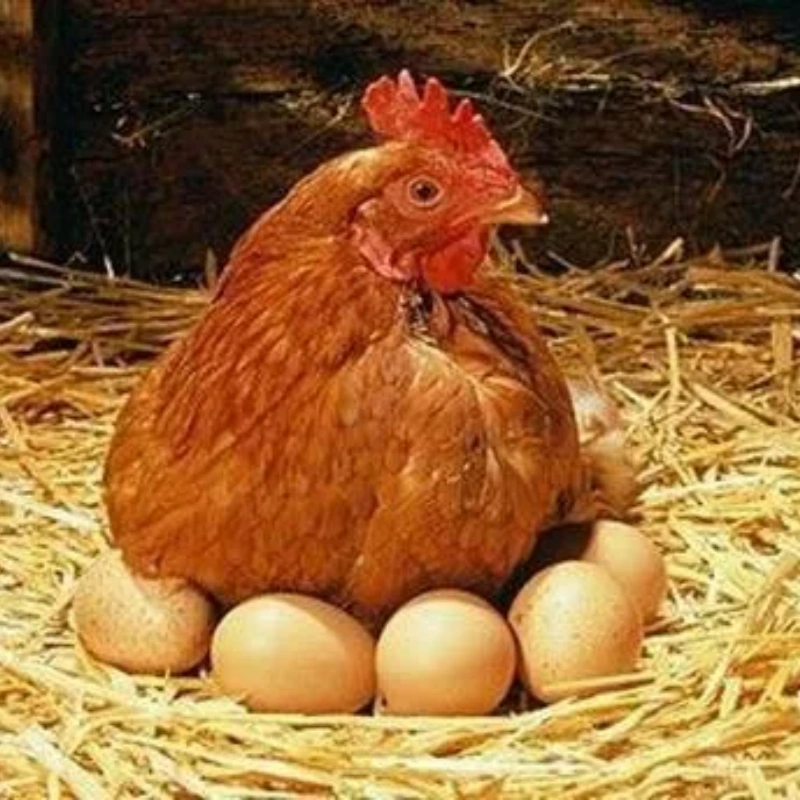 Attention! They Are Stealing Your Benefits Quietly