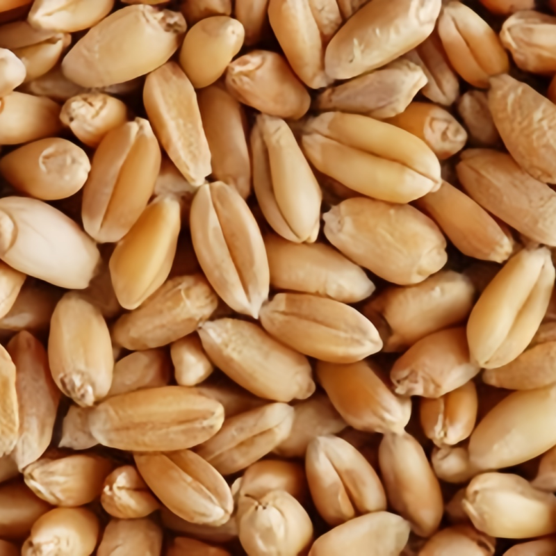 Wheat value analysis and alternatives