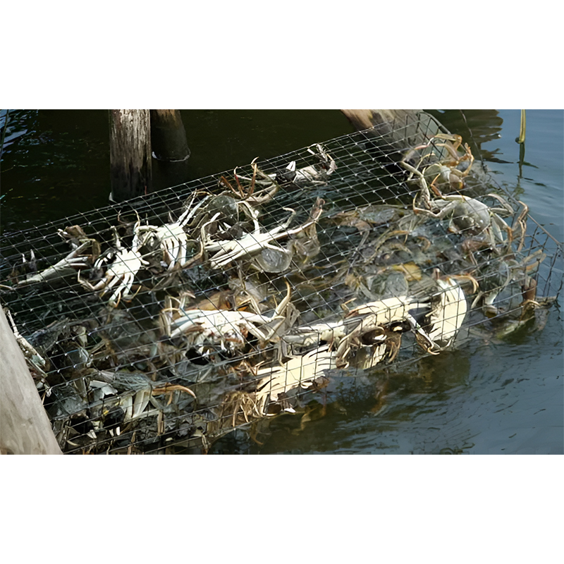 Why does crab compound premix feed significantly improve river crab survival rates?